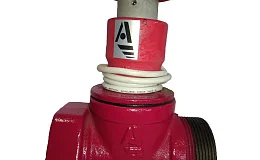 Клапан пожарн чугун прям КПЧП 50-1 Ду 50 1,6 МПа муфта-цапка с датч пол ДППК 24 Апогей 110034, DN 50