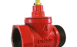 Клапан пожарн чугун прям КПКП 50-1 Ду 50 1,6 МПа муфта-цапка Апогей 110049, DN 50