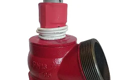 Клапан пожарн чугун угл 125 гр КПЧ 65-1 Ду 65 1,6 МПа муфта-цапка с датч пол ДППК 27 Апогей 110026, DN 65