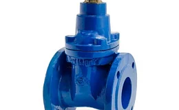 Задвижка чугун аналог МЗВ обрезиненный клин Ду 65 Ру16 до +75С фл Завод им Гаджиева, DN 65