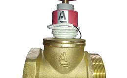 Клапан пожарн лат прям КПЛП 65-1 Ду 65 1,6 МПа муфта-цапка с датч пол ДППК 23 Апогей 110020, DN 65