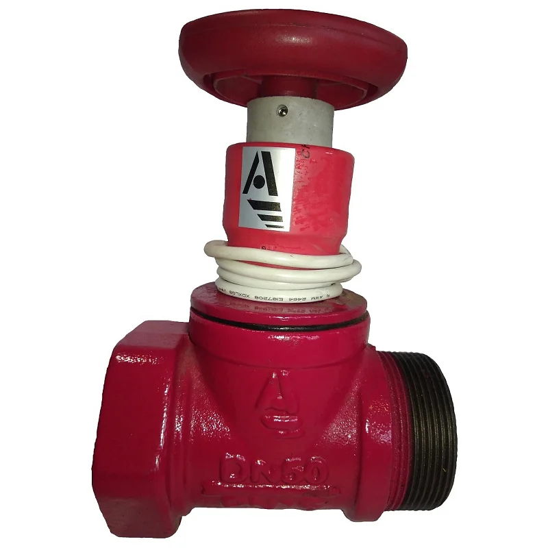 Клапан пожарн чугун прям КПЧП 50-1 Ду 50 1,6 МПа муфта-цапка с датч пол ДППК 24 Апогей 110034, DN 50