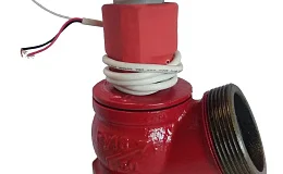 Клапан пожарн чугун угл 125 гр КПЧ 50-1 Ду 50 1,6 МПа муфта-цапка с датч пол ДППК 24 Апогей 110022, DN 50