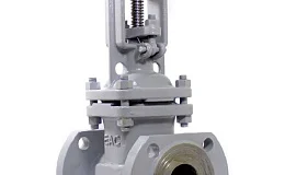 Задвижка стальная клиновая литая  30с64нж Ду50 Ру25   класс А, DN 50