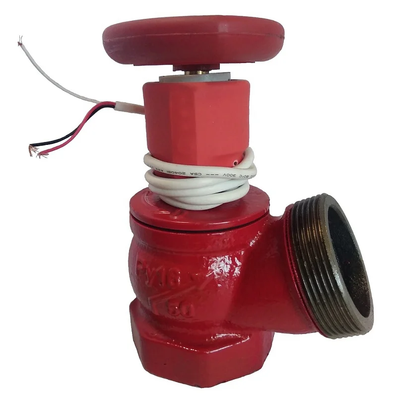 Клапан пожарн чугун угл 125 гр КПЧ 50-1 Ду 50 1,6 МПа муфта-цапка с датч пол ДППК 24 Апогей 110022, DN 50