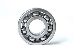 Подшипник 121 ZWZ (6021)