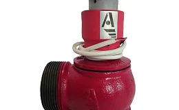 Клапан пожарн чугун угл 90 гр КПЧМ 50-1 Ду 50 1,6 МПа муфта-цапка с датч пол ДППК 24 Апогей 110030, DN 50